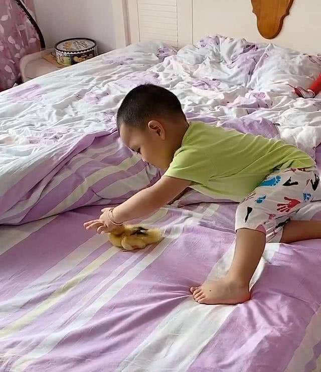 小姨送给外甥一只小鸭，宝宝稀罕的不得了-李嘉诚套现逾738亿