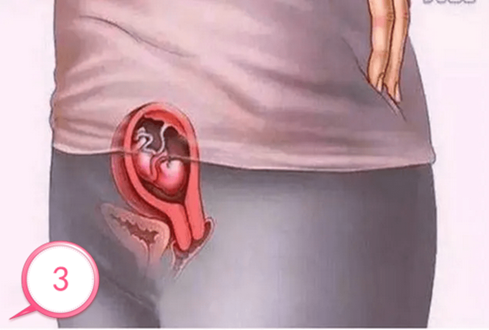原创孕育生命究竟是怎样的？十张图见证宝宝孕育全过程，生命来之不易
