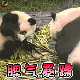 孩子|你家孩子是哪种脾虚？如何调理捏积派——气虚、阳虚、阴虚
