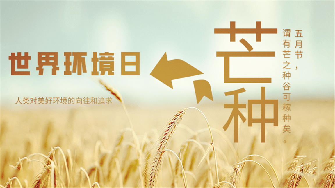 1290c8bc89f542b9bd6e4f4b062cc561.png