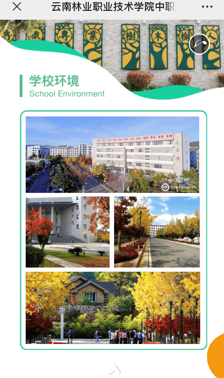 云南林业职业技术学院2020年(杨林新校区)五年大专报考指南
