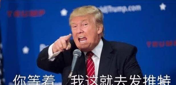 特朗普语出惊人:黑人是“低等生物”应该清除