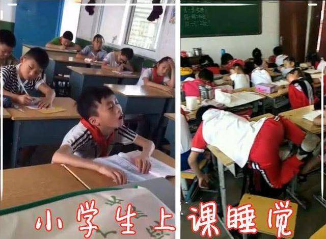 原创一个孩子天天午睡，一个孩子从不午睡，多年后，3个方面差距很大