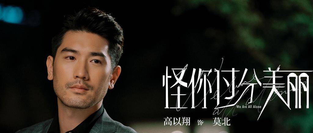 怪你过分美丽简谱_怪你过分美丽(2)