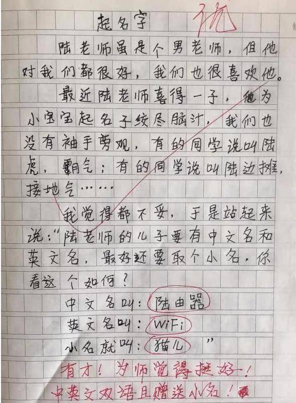 小学生满分作文《我的理想》走红,老师批语抢镜:小心你同桌