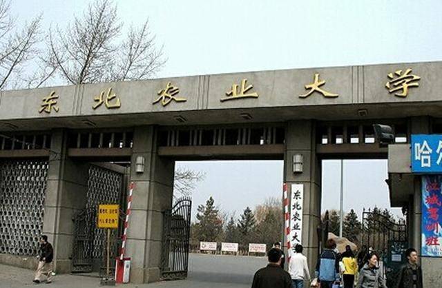 这三所211大学“性价比”高，学校专业实力强，适合考生捡漏！