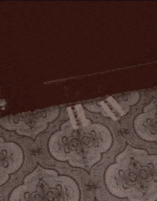 搞笑gif: 美女都抱在怀里了, 这咋还腿软了呢