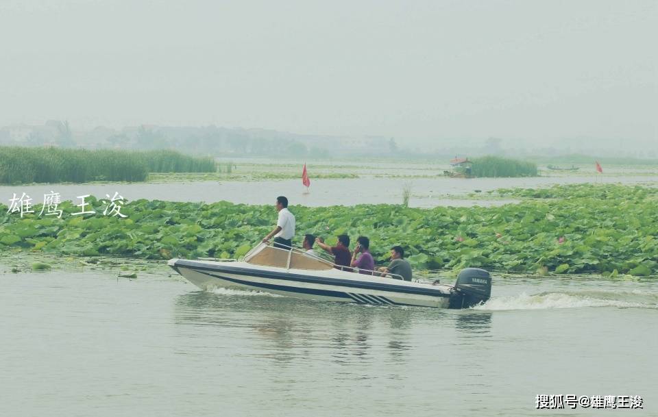 淮阳县gdp_淮阳县地图(3)