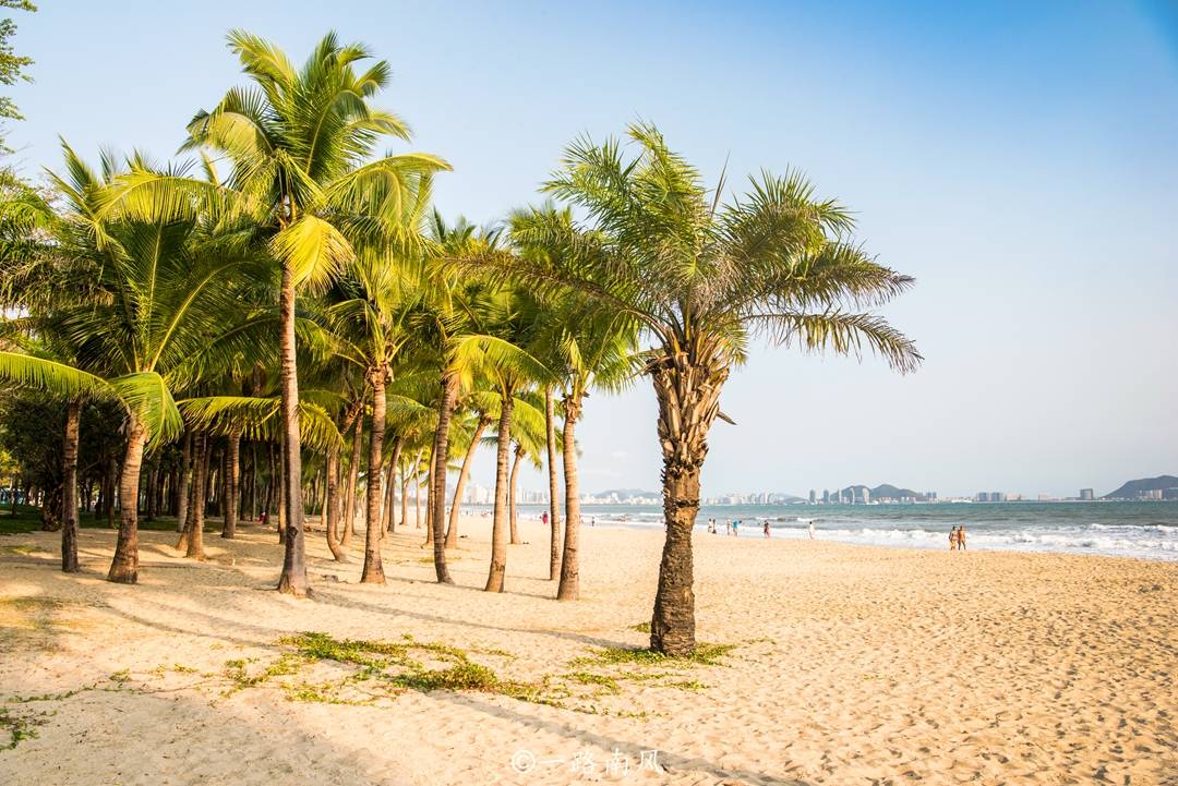 原创中国离市区最近的海滩,椰树林
