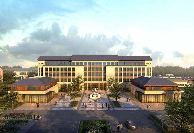 村的gdp比县大(2)