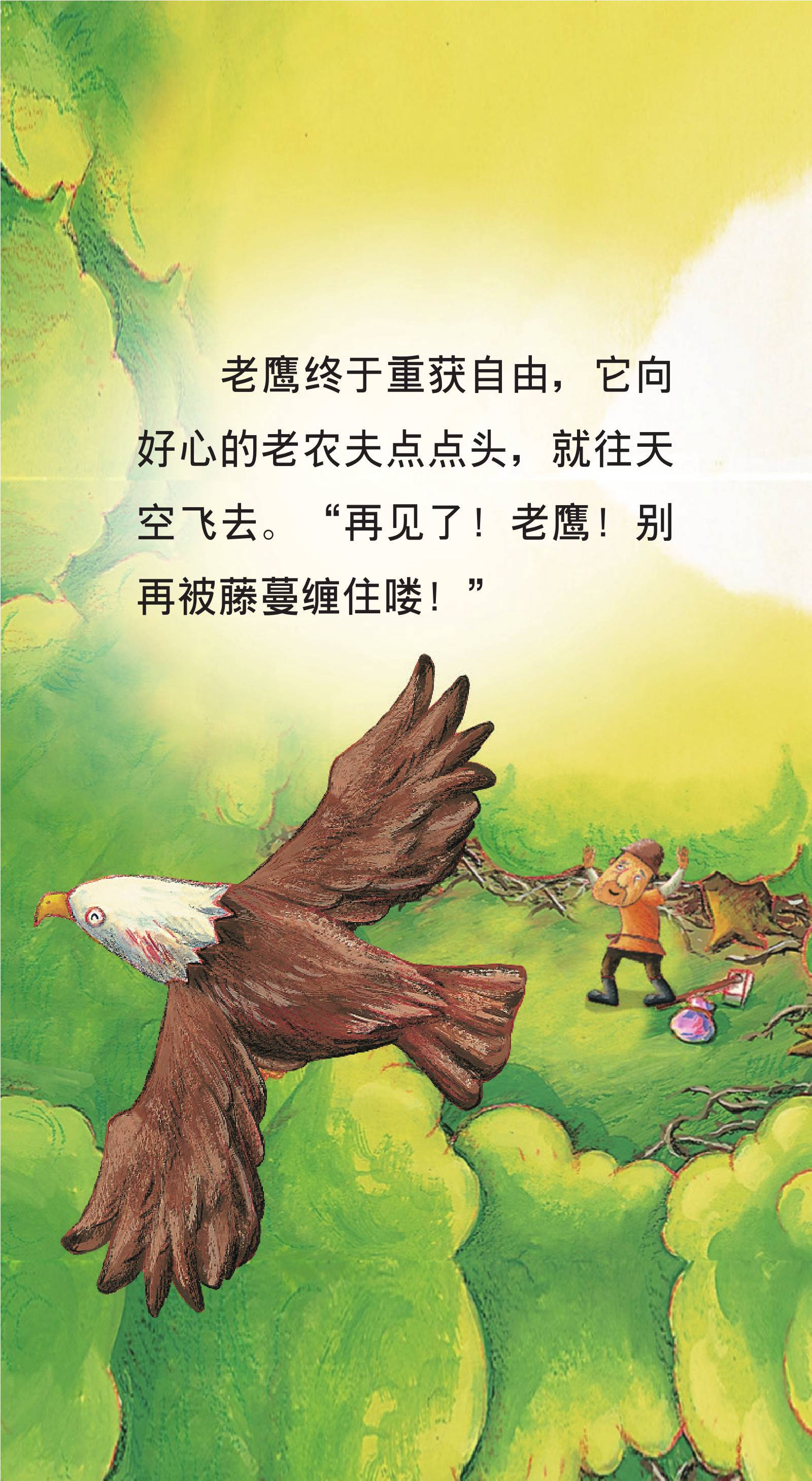 儿童绘本故事推荐伊索寓言老鹰报恩