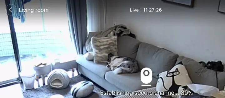 狗狗独自在家都干了些什么？