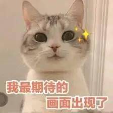 d76a7ea6ed144adda5c3776cc846857a.jpeg