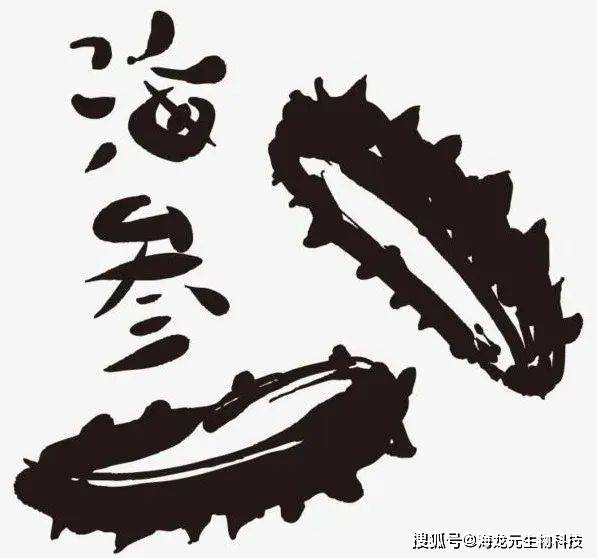 海参多糖:海参肽的关键标志性成分