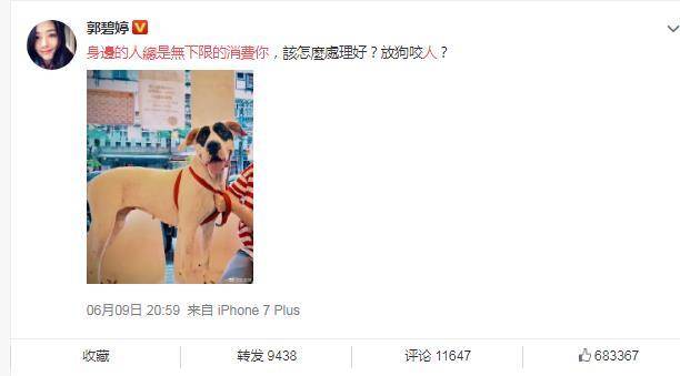 郭碧婷向佐结婚申请表流出！豪门这么久没名分
