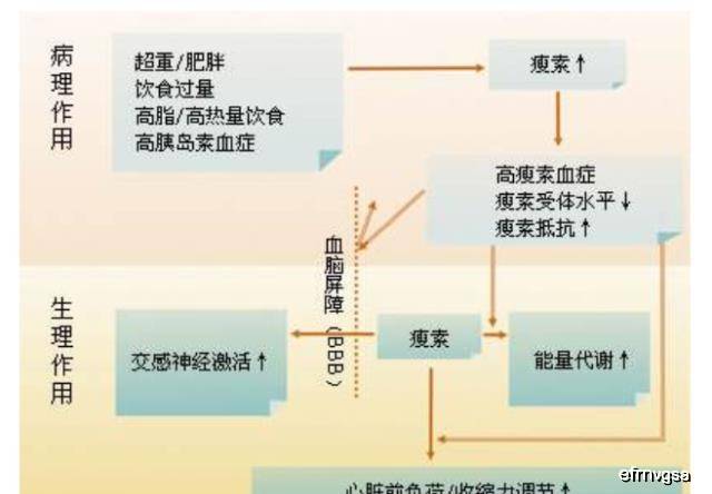 12e50cc91048428eb6c3bc98722ebc28.jpeg