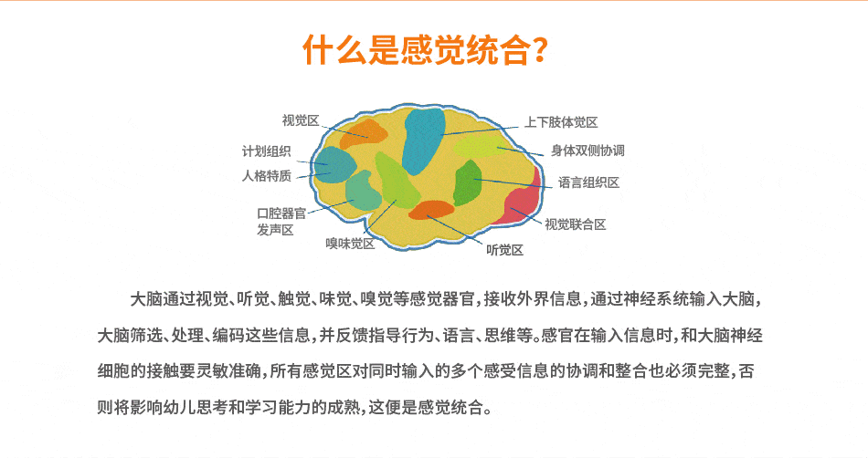 儿童感觉统合不足的危害