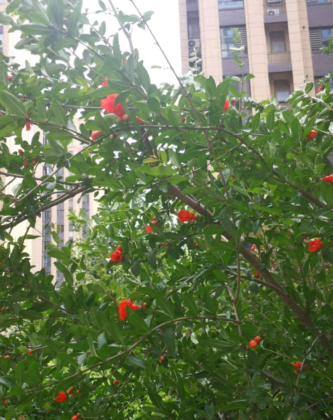 巴山什么雨成语_巴山猿狖是什么玩意(2)