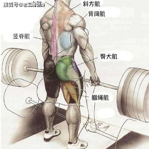 c979c2f61f5e469a9ca6ee766545bca2.jpeg