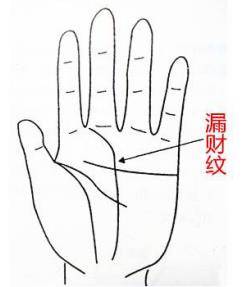 看手掌心的薄厚