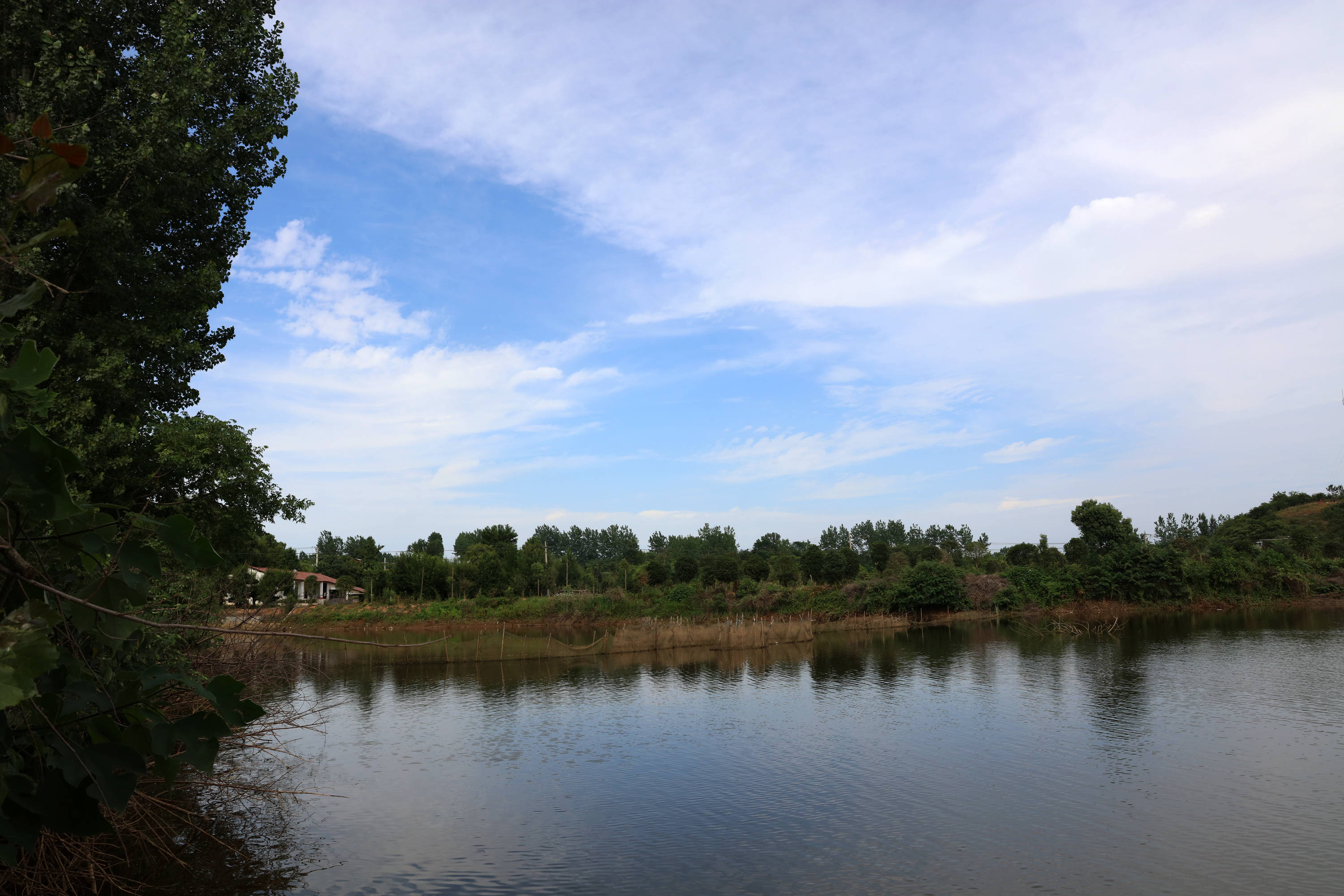 京山发水河村:生态美景入画来