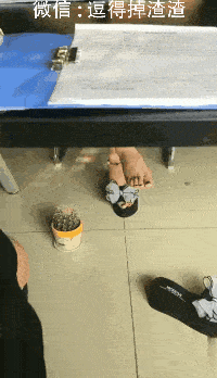 原创搞笑gif段子:这已经是一只被热废了的猫了!