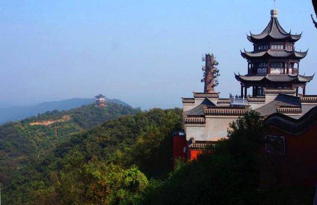 2020年金山区gdp_金山区金英丽(2)