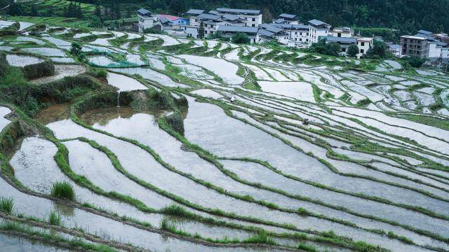 连山欧家梯田端午出游全攻略