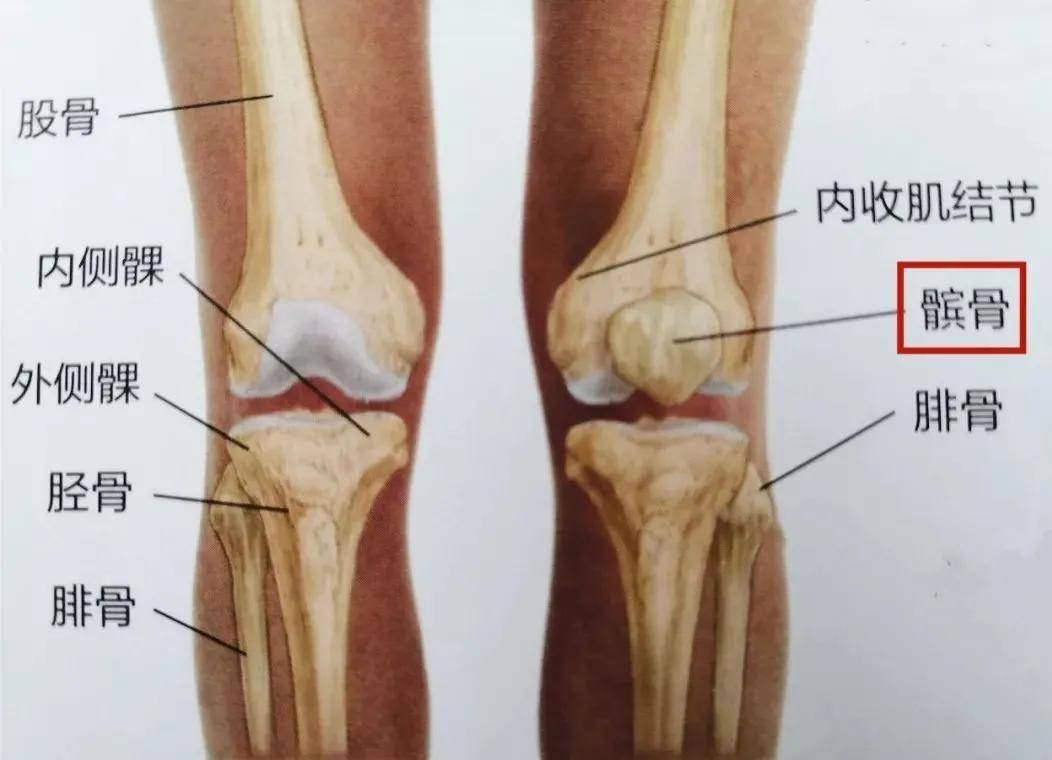 跑步膝并不是一种病 而是跑后膝盖痛症状的总称 有可能是髂胫束综合征