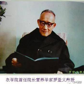 作为"世纪之果 它曾温柔过历史,惊艳过岁月!_罗登