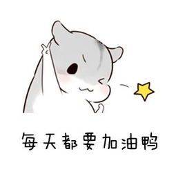 52a0c501d39943048f75abcbac184a48.jpeg