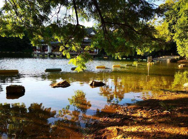 个旧市2019年gdp_个旧市人民医院图片