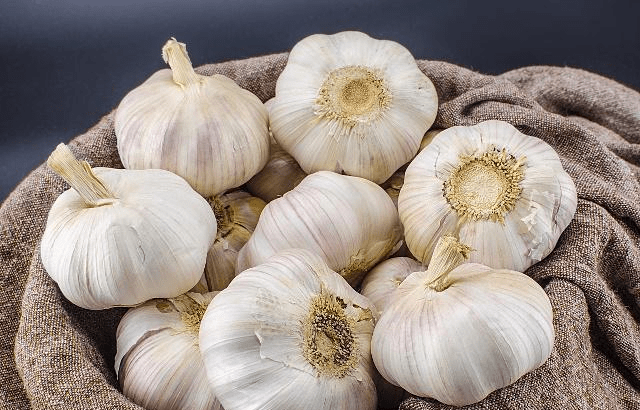 什么菜用大蒜 444238214e714089af49c95c317f410b.png