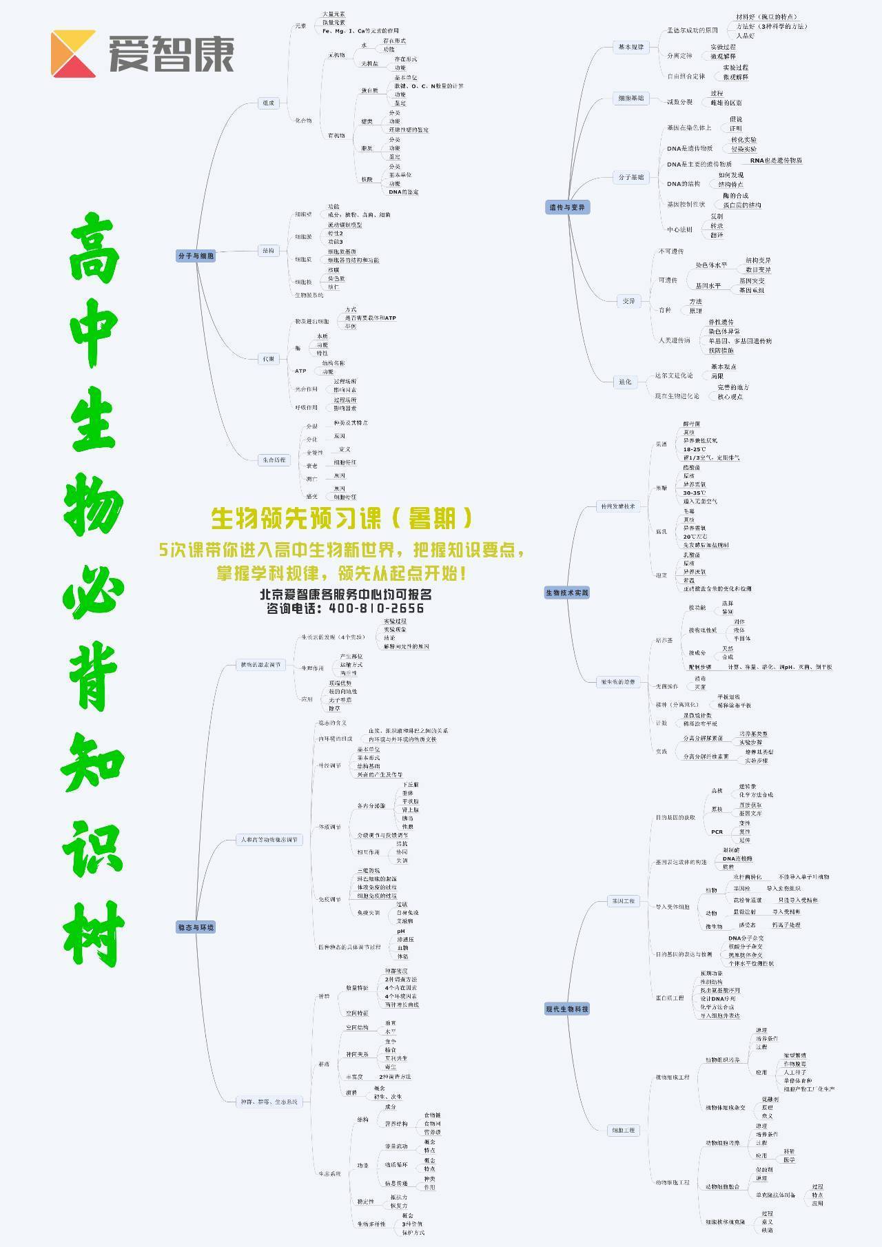 b8e378d7950d4e8a8eae90682df13d46.jpeg