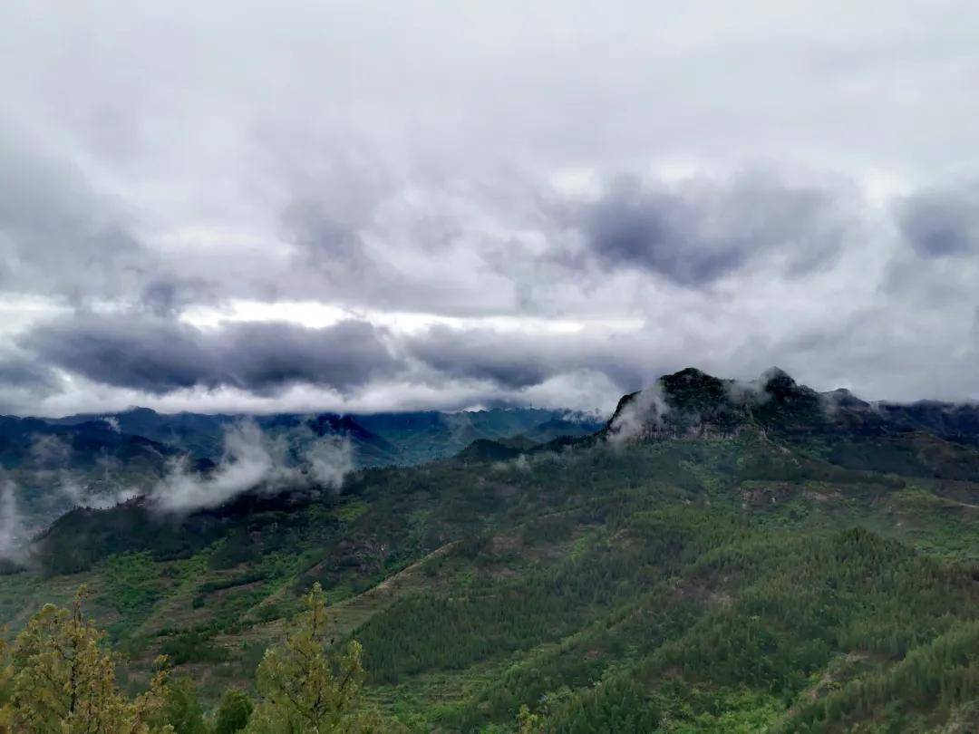 淄博这些云雾缭绕下的山色美景,不曾羡仙人!