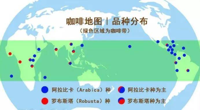 咖啡养成记在出去摆摊之前我们得先知道这些