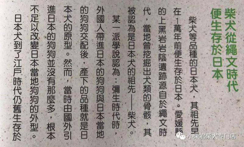 血統(tǒng)|為什么柴犬是日本天然紀(jì)念物