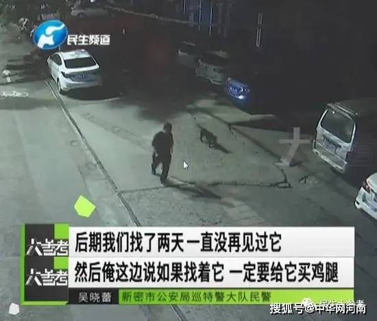 郑州新密警方急寻一条流浪汪，它4小时内协助警