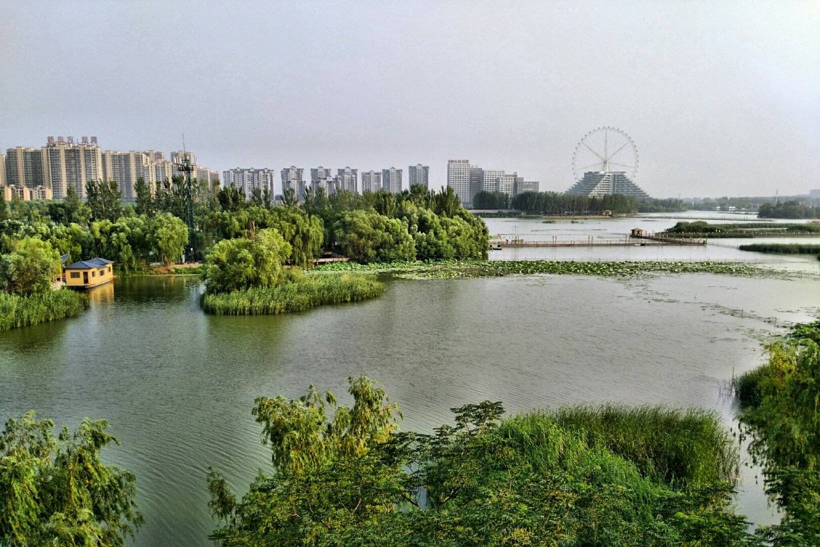 聊城市2019年人均GDP_聊城市地图(2)