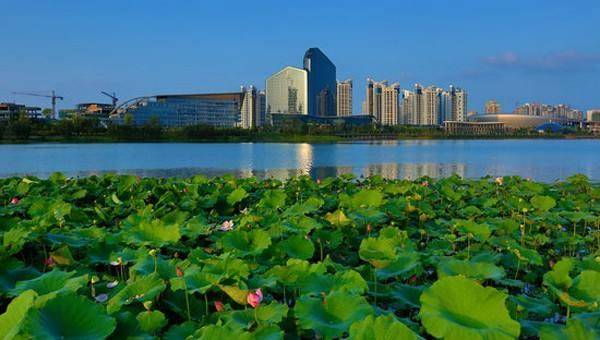 盘锦GDP2020年_盘锦红海滩(3)