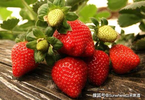 就是气气吃草莓 8b36d9f373f34e06a00b95b60b7635c0.jpeg