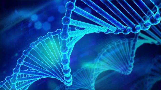 身高|而是这个“爱你年”最新研究表明：一米八并不是孩子的最佳身高