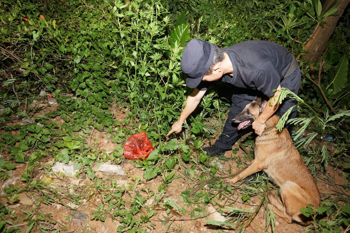 警队的特殊"警员!威风警犬荒山,丛林嗅出血衣揪真凶