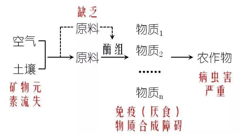 半亩什么成语_成语故事简笔画(3)