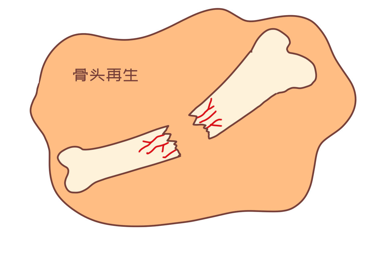 孩子|还有重要原因为啥越来越多父母储存孩子乳牙？不止是为了做纪念