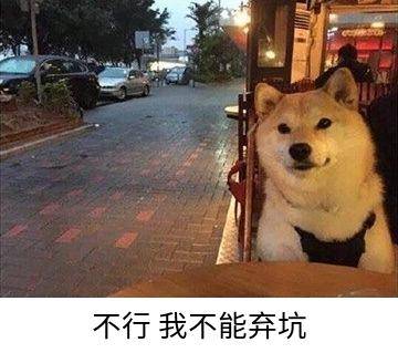 ed5c88f7a64d4f6bac88aa2cbfe14601.jpeg