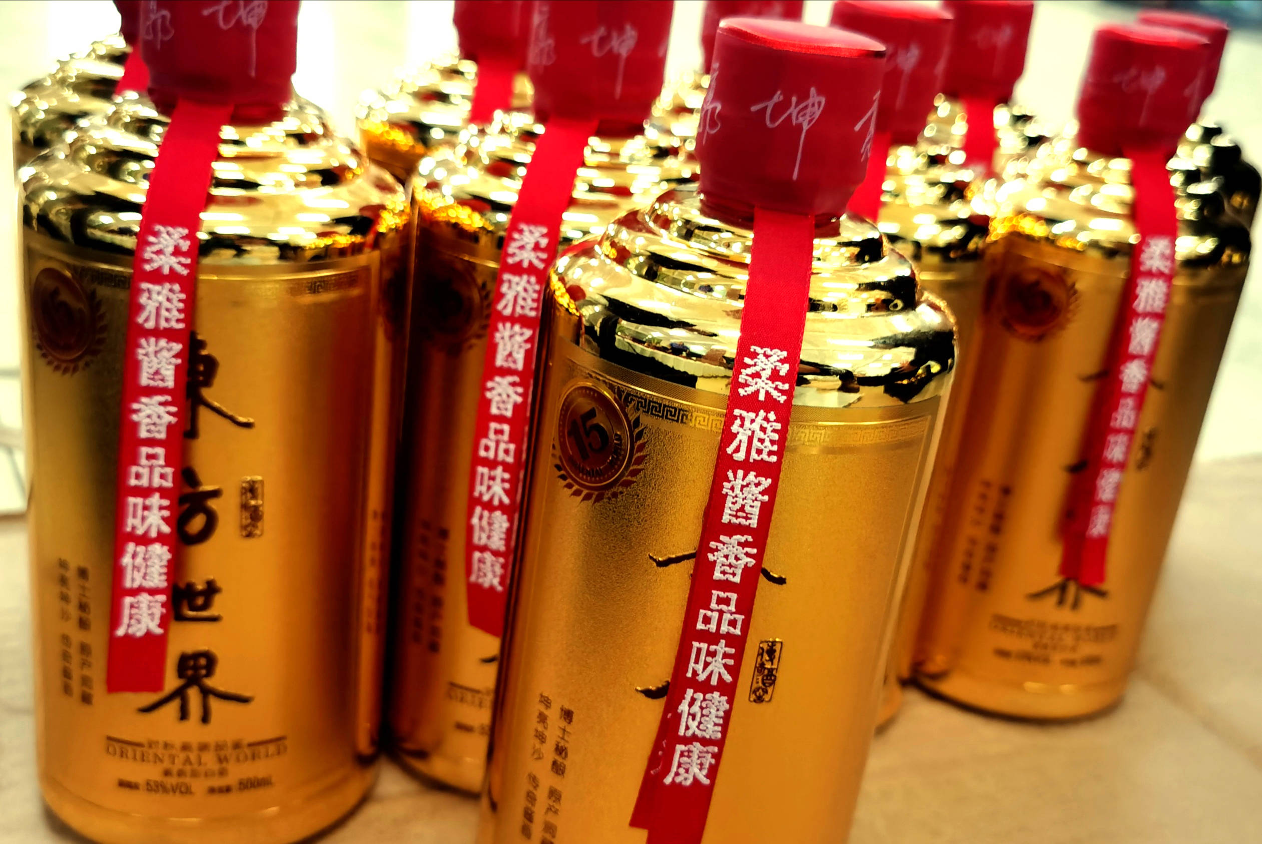 东方世界-传奇壹号 东方世界品牌创始人-雷光辉,郭坤亮博士
