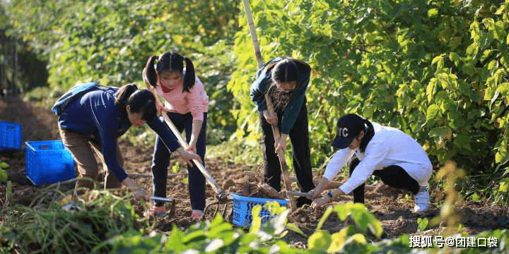 【亲子互动,田园生活,趣玩户外】家门口的度假区,周末溜娃的好去处!