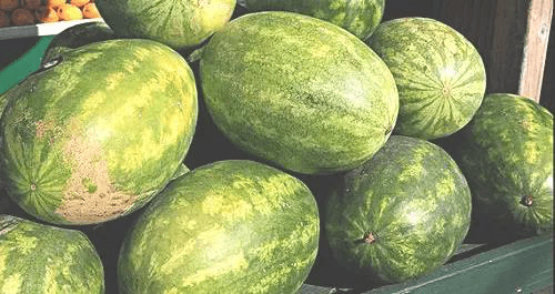 [我国]不如现在好吃却让人迷恋，这是为何？，西瓜那些年少有人知的历史