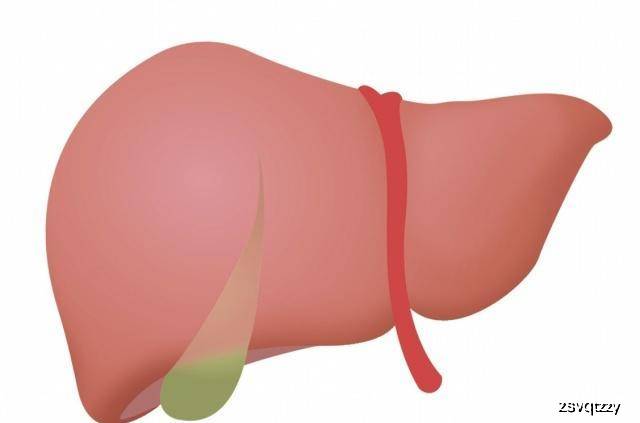 怎么护肝脏最好 11d19bc84d9a46b3993779c1940cde10.jpeg